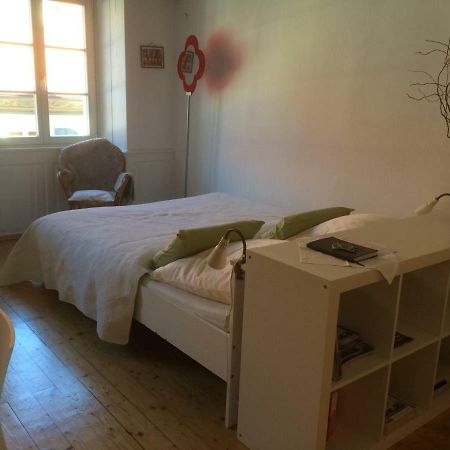 Appartement Zum Gruenen Lindenbaum Z5B à Constance Extérieur photo