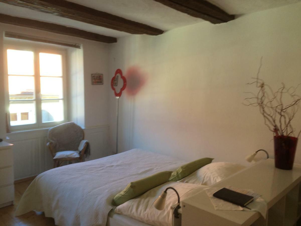 Appartement Zum Gruenen Lindenbaum Z5B à Constance Extérieur photo