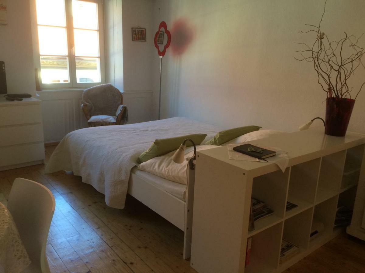 Appartement Zum Gruenen Lindenbaum Z5B à Constance Extérieur photo